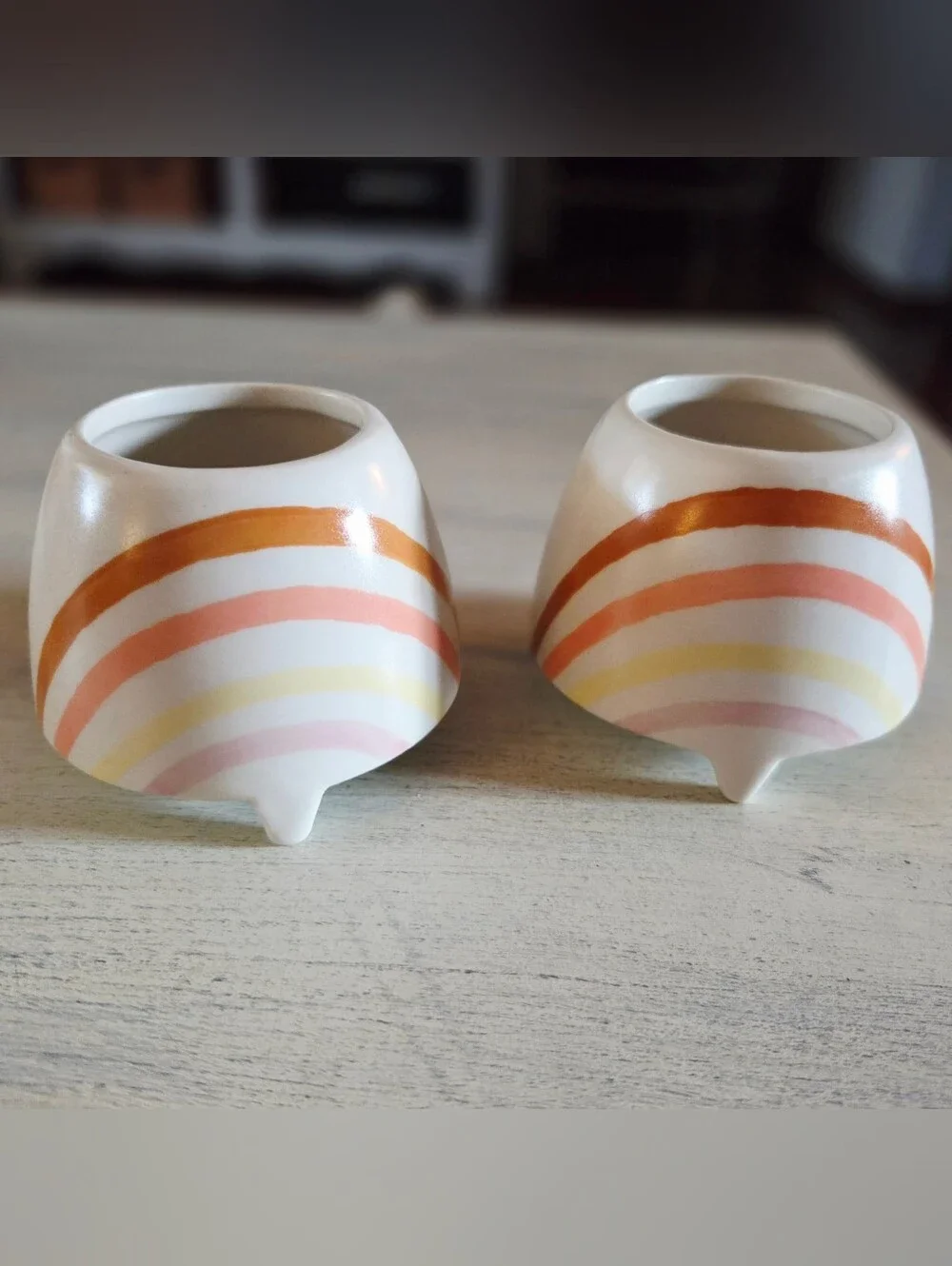 Two Ceramic Hope Tillandsia Mini Planters